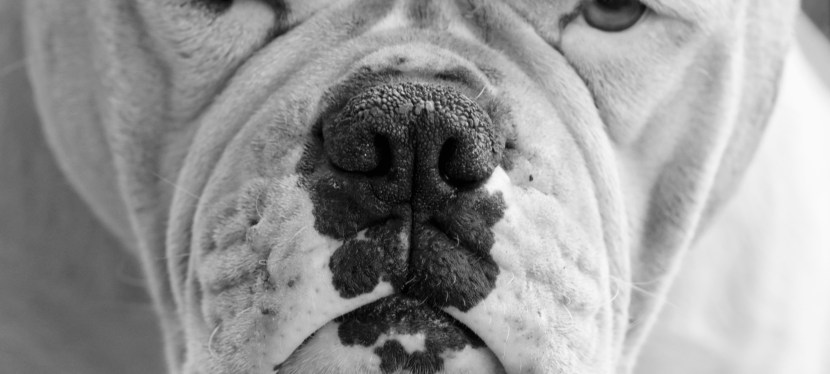 he come groovin’ up&nbsp;slowly