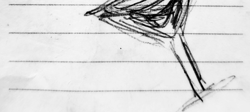 and I saw my reflection in the snow covered&nbsp;hills