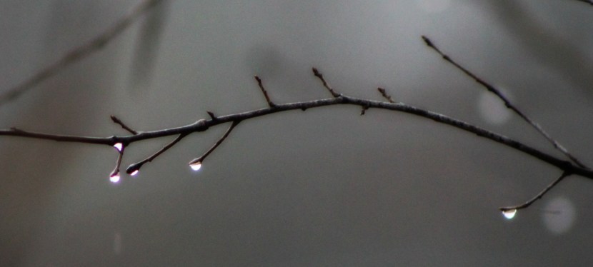 is it raining with&nbsp;you