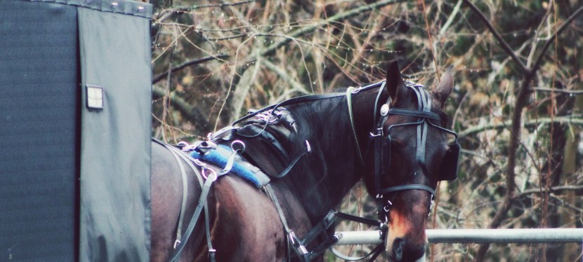 i ain’t trying to do what everybody else&nbsp;doing