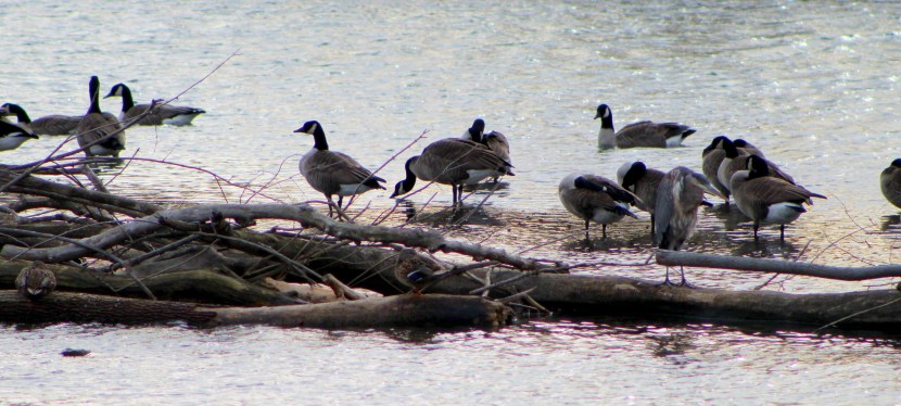 i feel like a&nbsp;number