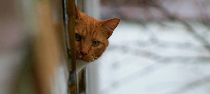 hello from the other&nbsp;side