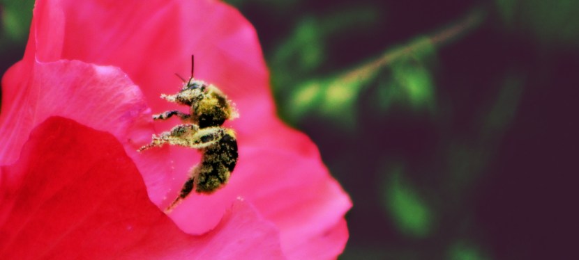 what are you waiting&nbsp;for