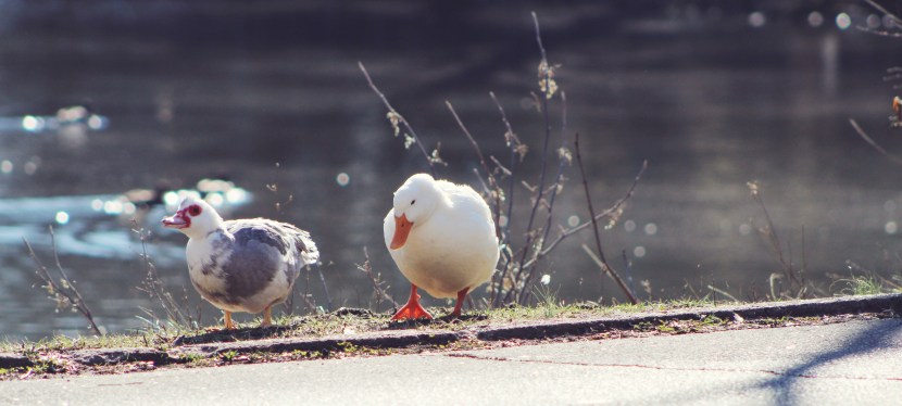 oh you’re the best friend that i ever&nbsp;had